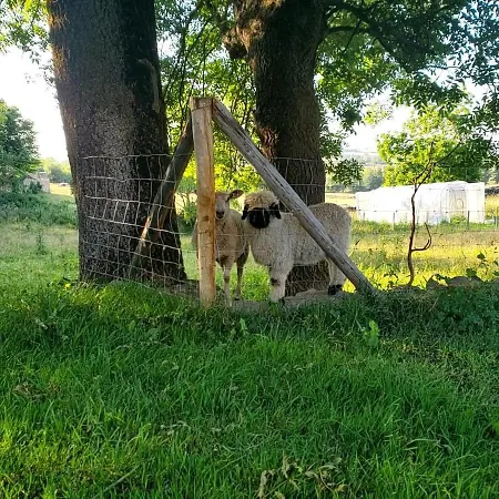 Domaine Des Maillets 3* Blot-l'Eglise